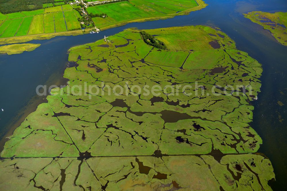 Zingst from the bird's eye view: Salt grassland and bird sanctuary in Zingst on the Baltic Sea coast in the state Mecklenburg - Western Pomerania, Germany