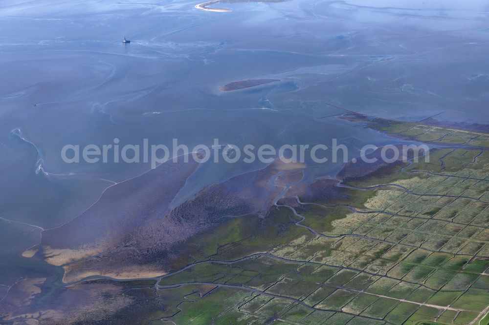 Aerial photograph Friedrichskoog - Salt marshes with brown vegetation in the Wadden Sea National Park of the North Sea in Friedrichskoog in the state of Schleswig-Holstein. Tidal creeks run through the foreland of the dike southwest of the town of Friedrichskoog