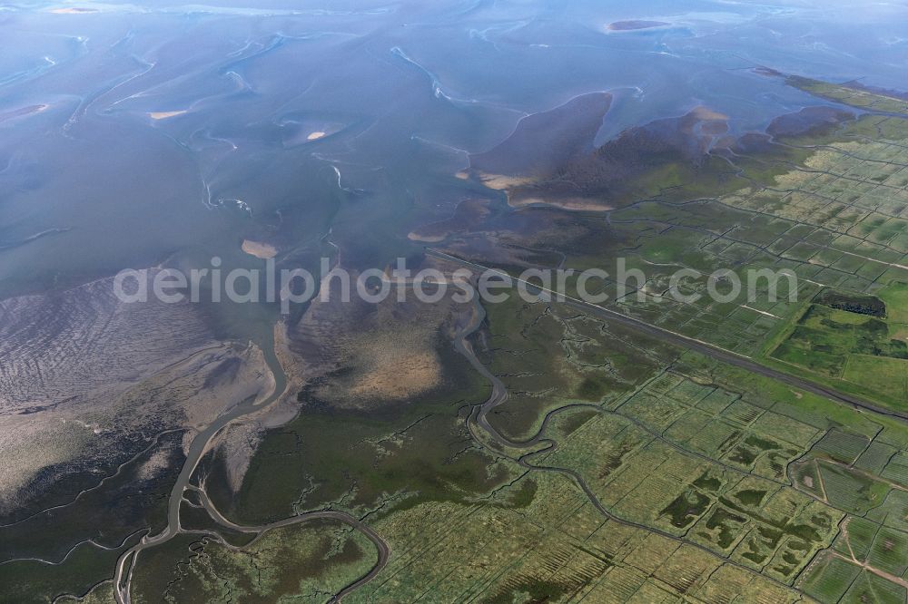 Friedrichskoog from above - Salt marshes with brown vegetation in the Wadden Sea National Park of the North Sea in Friedrichskoog in the state of Schleswig-Holstein. Tidal creeks run through the foreland of the dike southwest of the town of Friedrichskoog