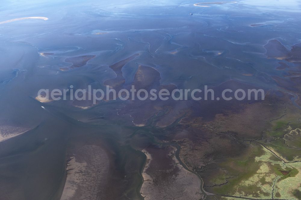 Aerial image Friedrichskoog - Salt marshes with brown vegetation in the Wadden Sea National Park of the North Sea in Friedrichskoog in the state of Schleswig-Holstein. Tidal creeks run through the foreland of the dike southwest of the town of Friedrichskoog