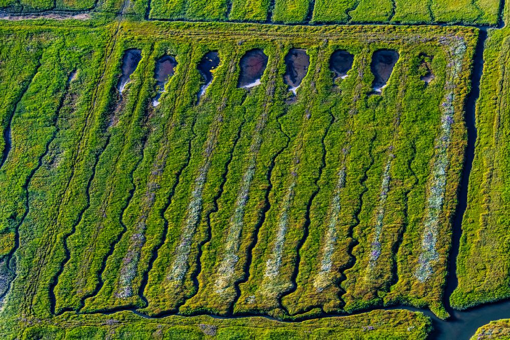 Westerhever from the bird's eye view: Salt marshes for land reclamation in the district of Hauert in Westerhever in the state of Schleswig-Holstein