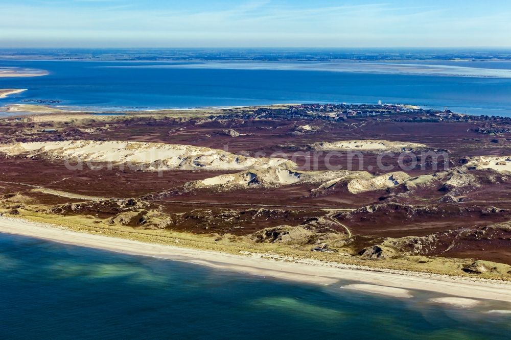 List from the bird's eye view: Sand, dune and heath landscape North Sylt in List in the state of Schleswig-Holstein, Germany
