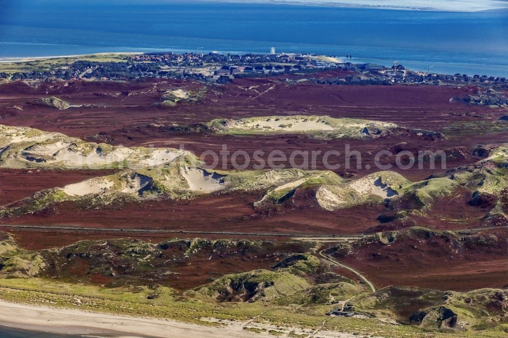Aerial image List - Sand, dune and heath landscape North Sylt in List in the state of Schleswig-Holstein, Germany