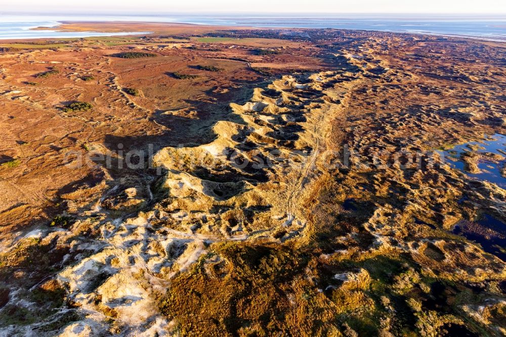 Aerial image Fanö - Sand dunes and coast landscape in national-parc wadden sea on the island Fanoe in Syddanmark, Denmark
