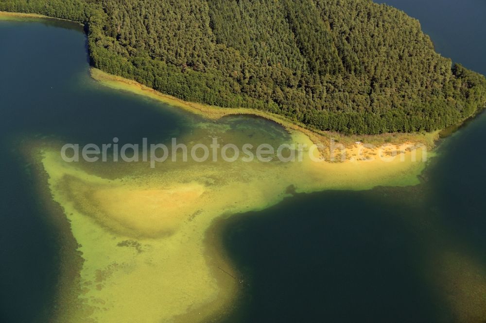 Neustrelitz from the bird's eye view: Sand and mud structures in Lake Grosser Fuerstenseer See in Neustrelitz in the state Mecklenburg - Western Pomerania. Mud, Sand and other structures are visible in the dark blue water and on its wooded shore