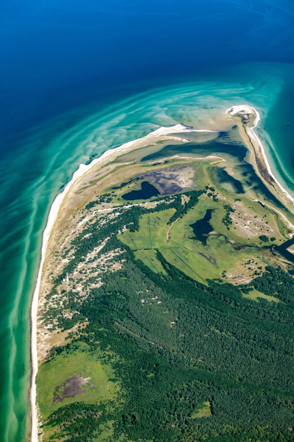 Born am Darß from the bird's eye view: Sandbank- land area by flow under the sea water surface the Baltic Sea at the Darsser Ort nature reserve in Born am Darss at the baltic sea coast in the state Mecklenburg - Western Pomerania, Germany