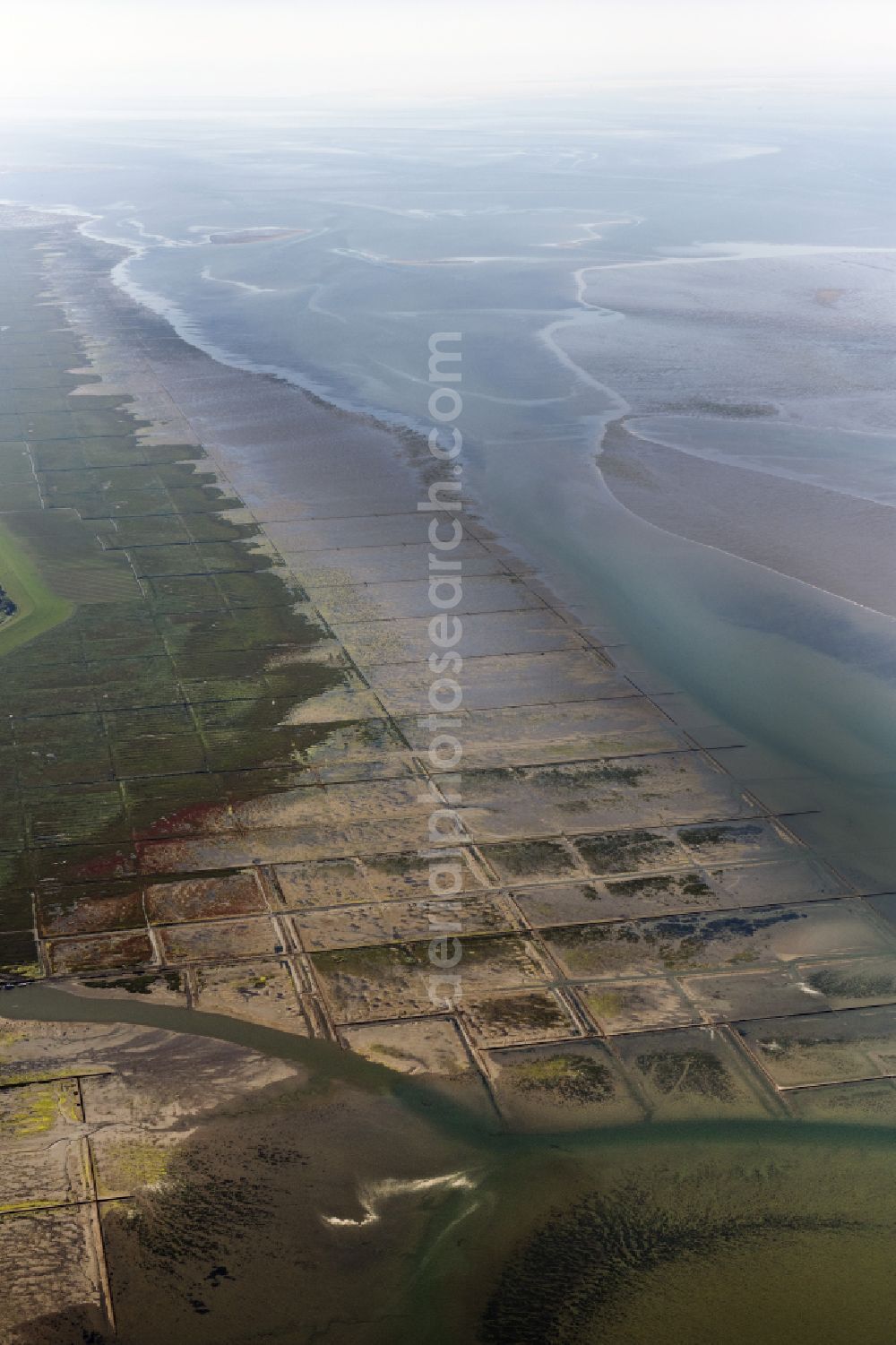Aerial photograph Pellworm - Sandbank - land area caused by currents under the sea water surface in front of Suedfall and Pellworm in the state Schleswig-Holstein, Germany