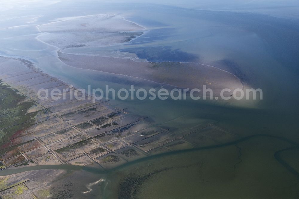 Pellworm from above - Sandbank - land area caused by currents under the sea water surface in front of Suedfall and Pellworm in the state Schleswig-Holstein, Germany