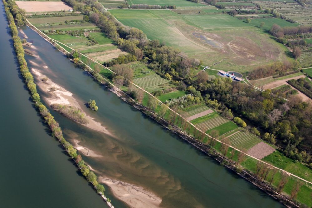 Ingelheim am Rhein from the bird's eye view: Sand bank in the Rhine in Ingelheim am Rhein in the state of Rhineland-Palatinate. The sand bank is created by a connection to the sandy riverbank and forms islands and peninsulas. The Rhine is the border between the states of Hesse and Rhineland-Palatinate. View of the riverbank near Ingelheim and Heidesheim which is characterised by tree alleys and fields
