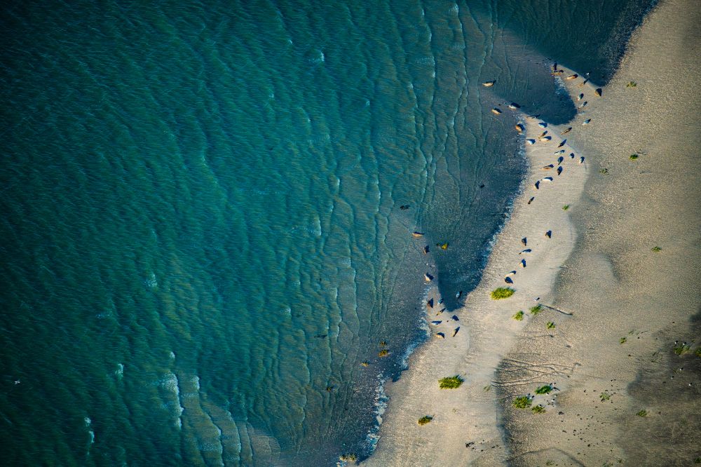 Aerial photograph Sankt Peter-Ording - Beach landscape on the with seal banks in Pellworm in the state Schleswig-Holstein