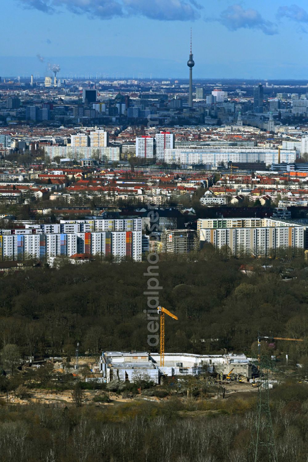 Berlin from above - Construction site for reconstruction and modernization and renovation of a building Pachyderm house in the zoo on street Am Tierpark in the district Friedrichsfelde in Berlin, Germany