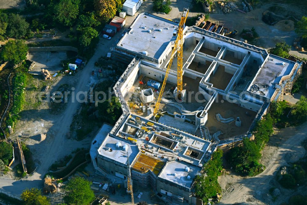 Aerial photograph Berlin - Construction site for reconstruction and modernization and renovation of a building Pachyderm house in the zoo on street Am Tierpark in the district Friedrichsfelde in Berlin, Germany