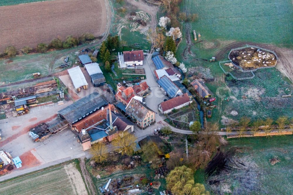Aerial image Wörth am Rhein - Homestead of a mill Holzwerk ORTH Gerd Suetterlin e.K. in the district Schaidt in Woerth am Rhein in the state Rhineland-Palatinate, Germany