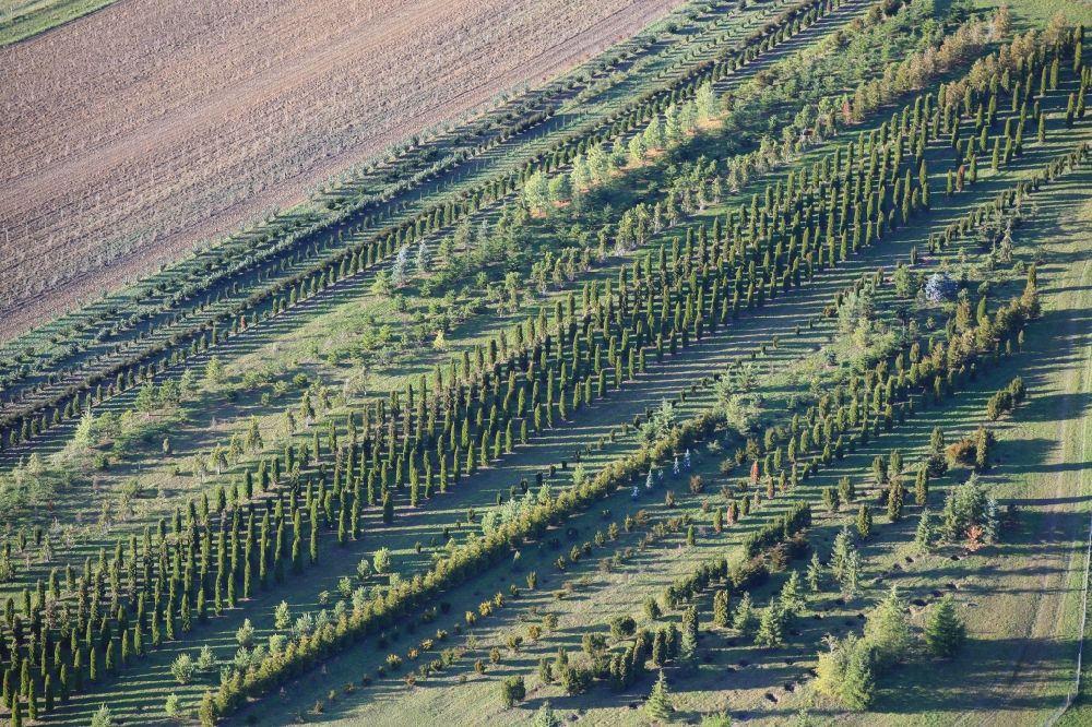 Schwörstadt from the bird's eye view: Row of trees on fields of a tree nursery in the Black Forest in the district Dossenbach in Schwoerstadt in the state Baden-Wurttemberg, Germany