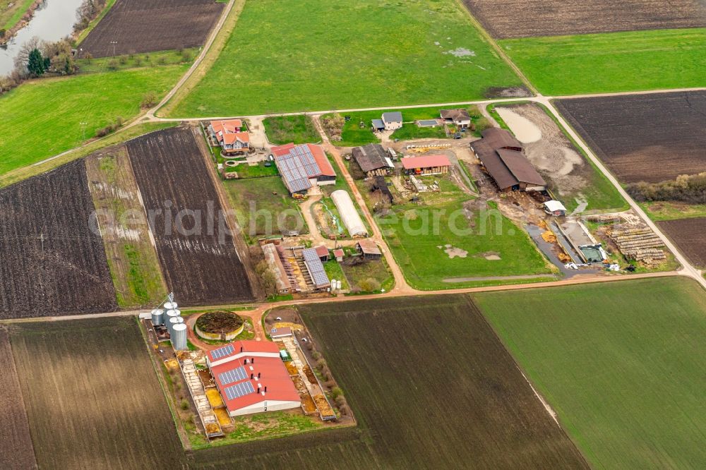 Ichenheim from above - Barn building on the edge of agricultural fields and farmland Gehoefte in Ichenheim in the state Baden-Wurttemberg, Germany