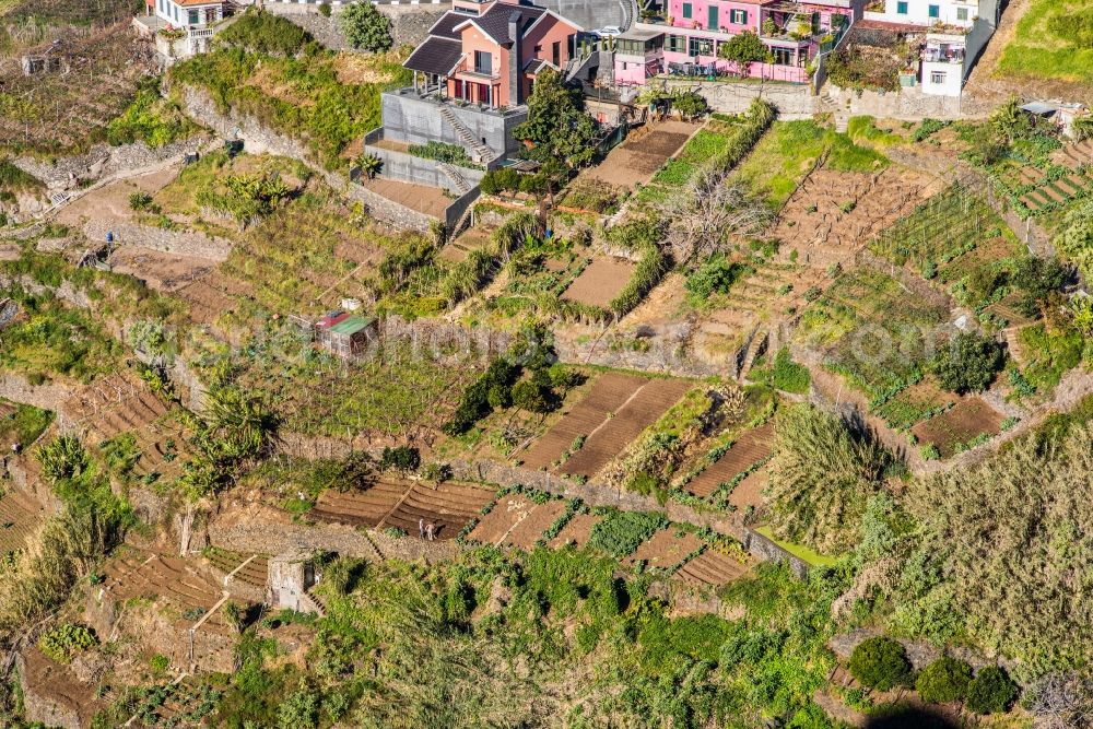 Funchal from above - Barn building on the edge of agricultural fields and farmland with vegetables in Funchal in Madeira, Portugal