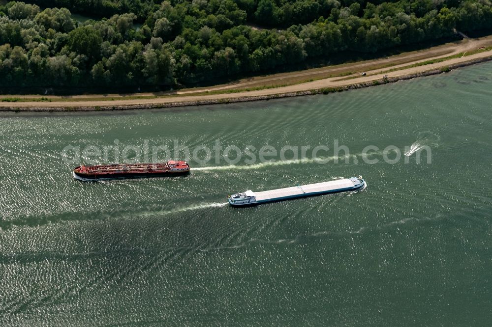 Aerial photograph Gerstheim - Ships and barge trains inland waterway transport in driving on the waterway of the river on Oberrhein in Gerstheim in Grand Est, France