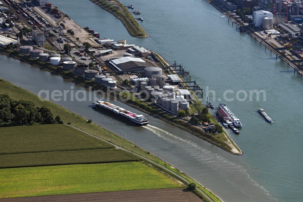 Aerial photograph Mannheim - Ships and barge trains inland waterway transport in driving on the waterway of the river Neckar in Mannheim in the state Baden-Wuerttemberg, Germany