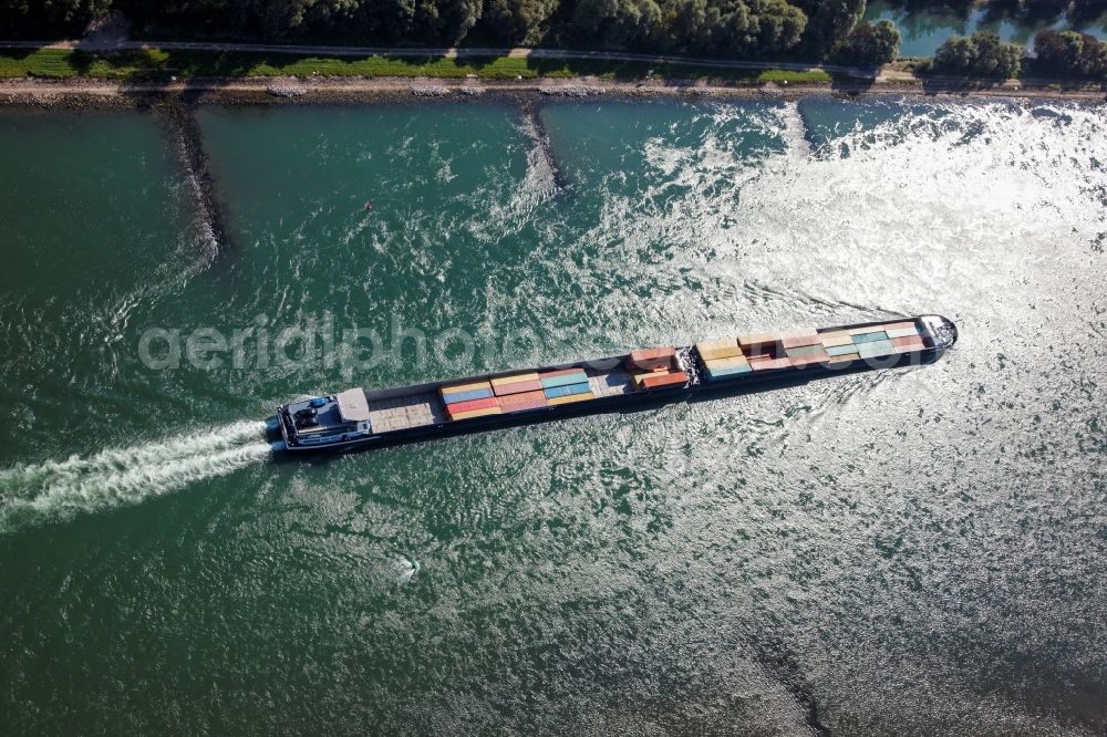 Aerial image Neuburg am Rhein - Ships and barge trains inland waterway transport in driving on the waterway of the river of the Rhine river in Neuburg am Rhein in the state Rhineland-Palatinate, Germany