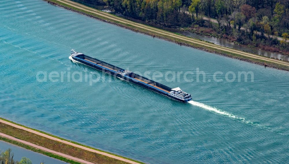 Rhinau from the bird's eye view: Ships and barge trains inland waterway transport in driving on the waterway of the river of the Rhine river in Rhinau in Elsass, France