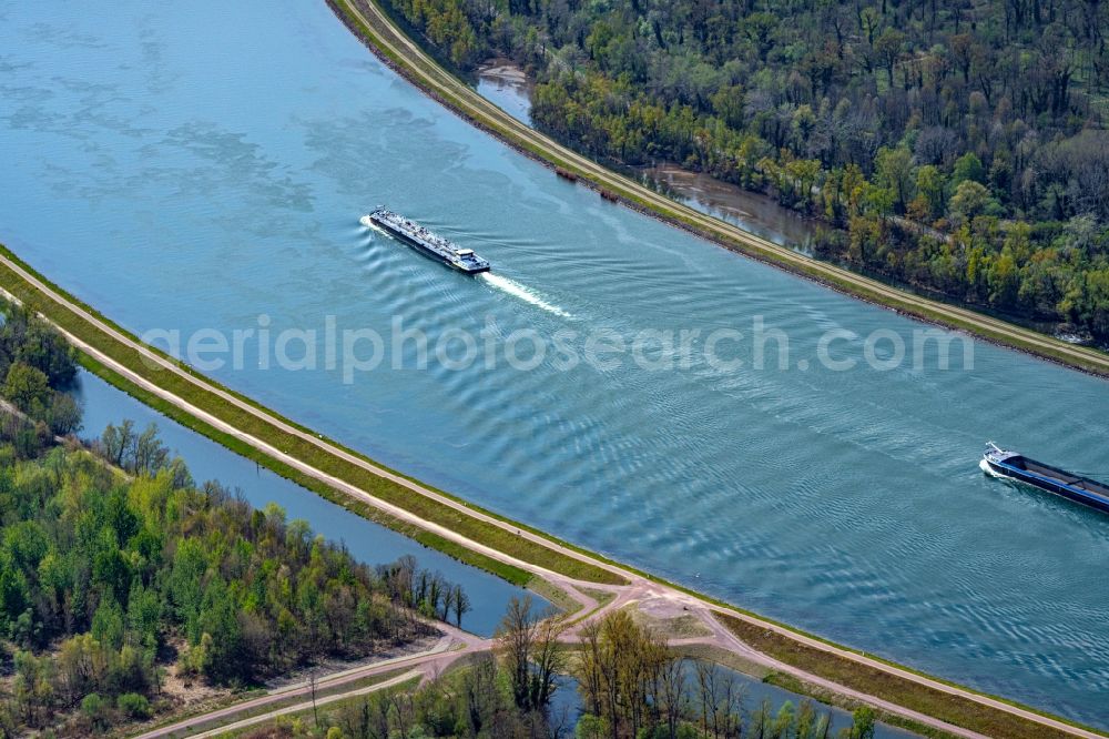 Aerial image Rhinau - Ships and barge trains inland waterway transport in driving on the waterway of the river of the Rhine river in Rhinau in Elsass, France
