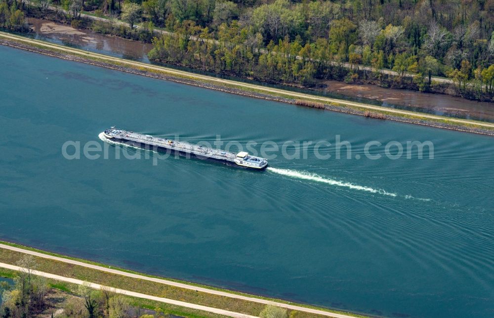 Aerial photograph Rhinau - Ships and barge trains inland waterway transport in driving on the waterway of the river of the Rhine river in Rhinau in Elsass, France