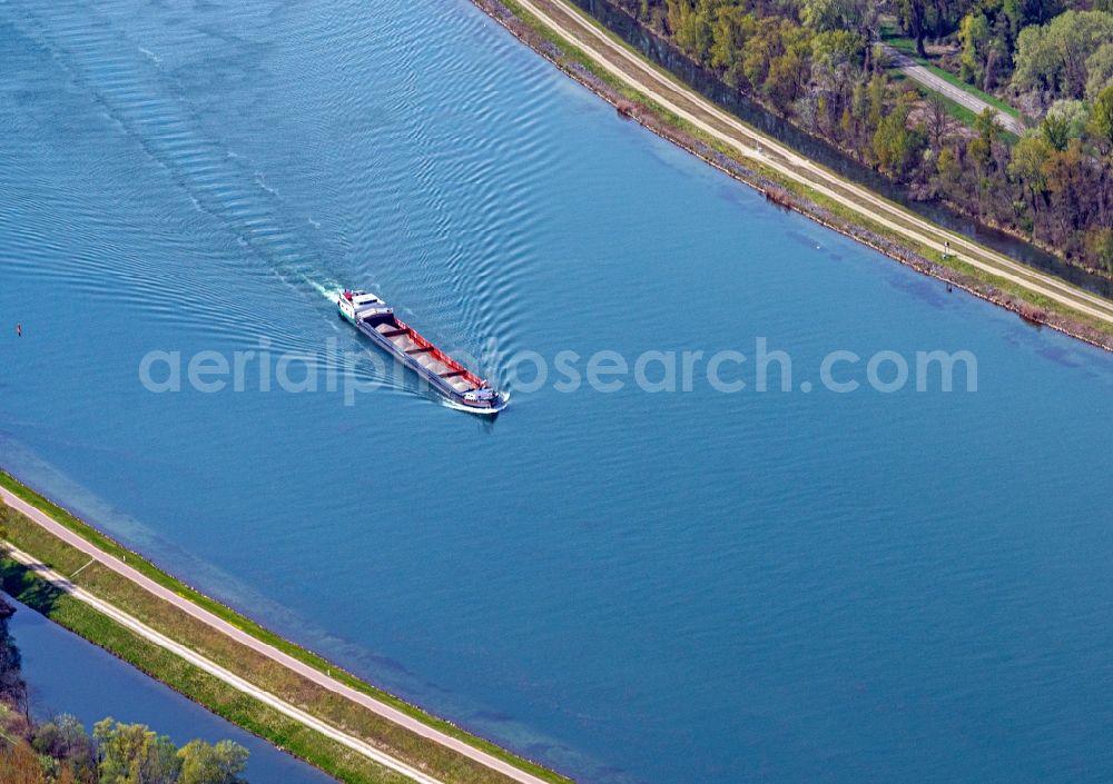 Rhinau from above - Ships and barge trains inland waterway transport in driving on the waterway of the river of the Rhine river in Rhinau in Elsass, France