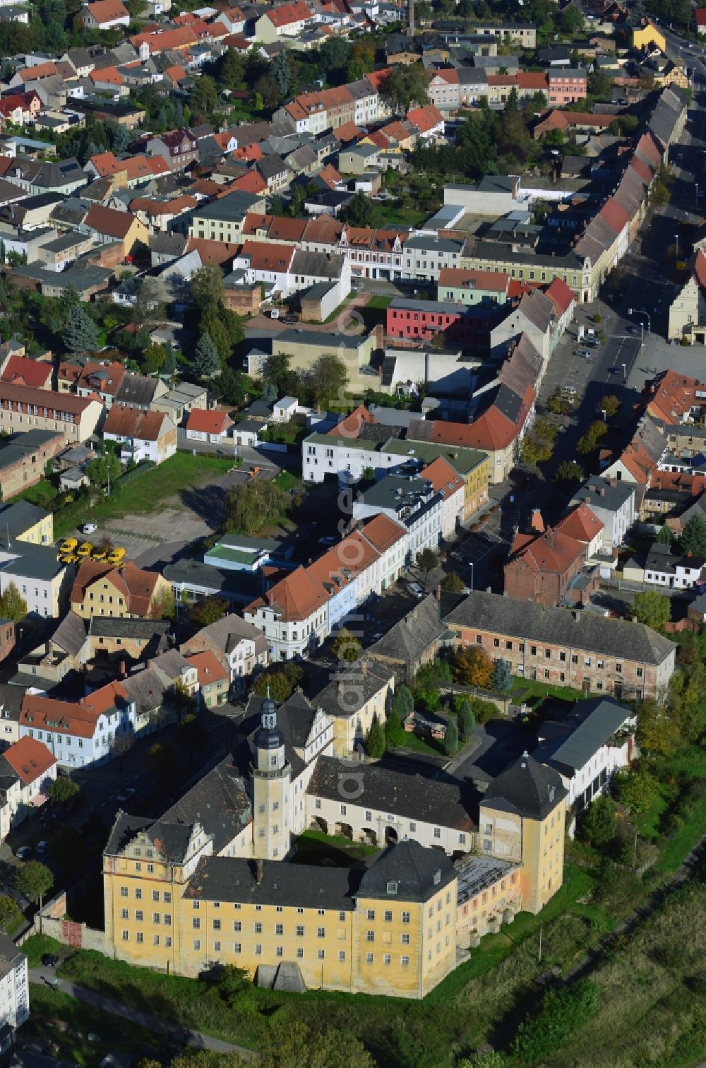 Coswig (Anhalt) from the bird's eye view: Castle in Coswig (Anhalt) in Saxony-Anhalt