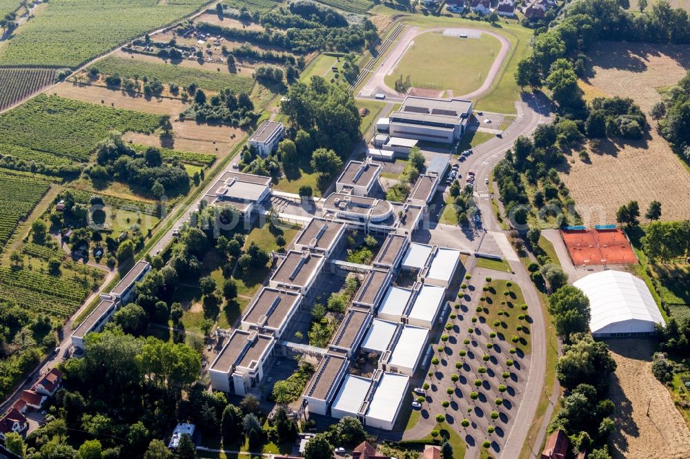 Aerial image Wissembourg - School building of the Lycee Stanislas in Wissembourg in Grand Est, France