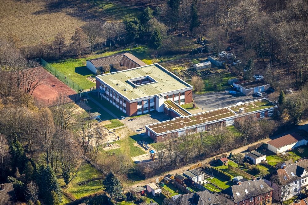 Aerial image Herne - School building of the Robert-Brauner-Schule in of Bergstrasse in Herne at Ruhrgebiet in the state North Rhine-Westphalia, Germany