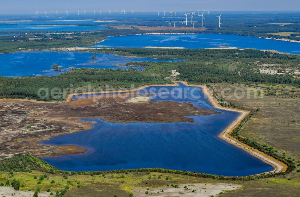 Aerial photograph Elsterheide - Waterfront landscape on the lake Bergener, Neuwieser and Blunoer See in Elsterheide in the state Saxony, Germany