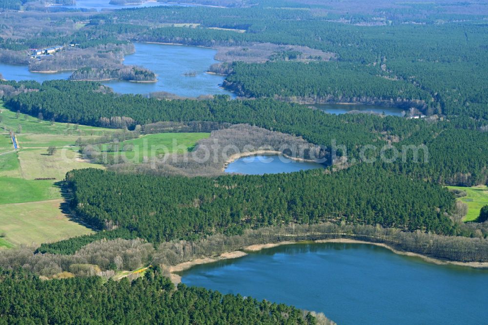 Dranse from above - Waterfront landscape on the lake Dranser See in Dranse in the state Brandenburg, Germany