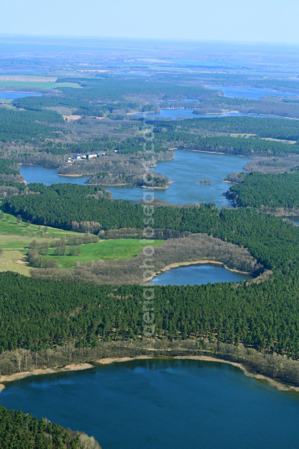 Dranse from the bird's eye view: Waterfront landscape on the lake Dranser See in Dranse in the state Brandenburg, Germany