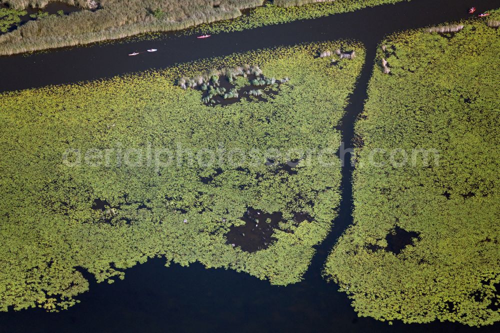 Mirow from the bird's eye view: Shore area landscape in the area of a??a??the chain of lakes with water sports enthusiasts in the Kleiner Kotzower See lake area in Mirow in the state Mecklenburg - Western Pomerania, Germany