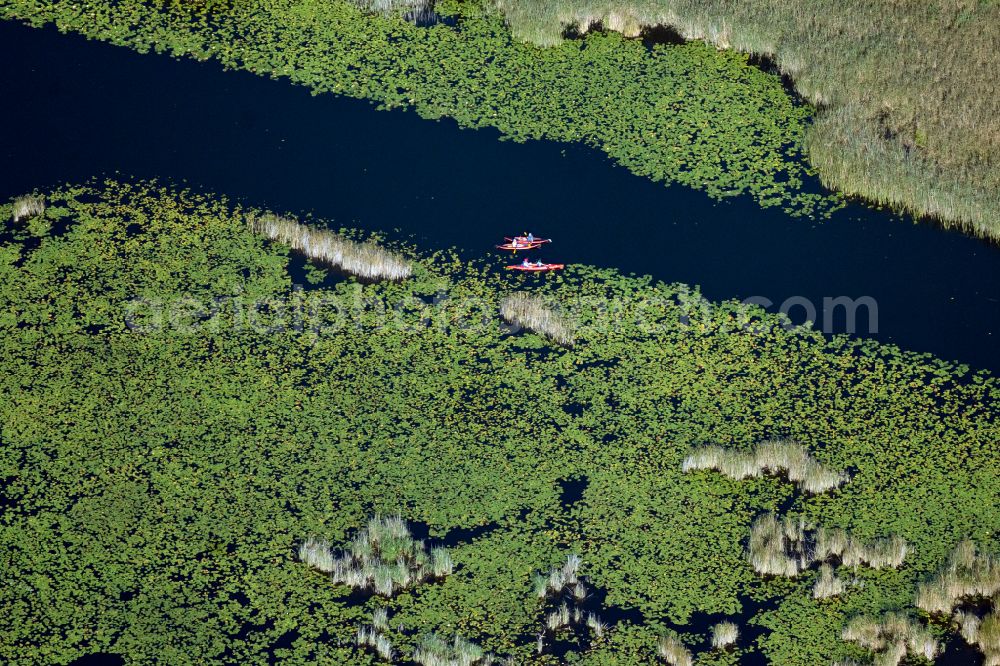 Aerial image Mirow - Shore area landscape in the area of a??a??the chain of lakes with water sports enthusiasts in the Kleiner Kotzower See lake area in Mirow in the state Mecklenburg - Western Pomerania, Germany