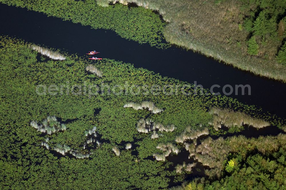 Aerial photograph Mirow - Shore area landscape in the area of a??a??the chain of lakes with water sports enthusiasts in the Kleiner Kotzower See lake area in Mirow in the state Mecklenburg - Western Pomerania, Germany