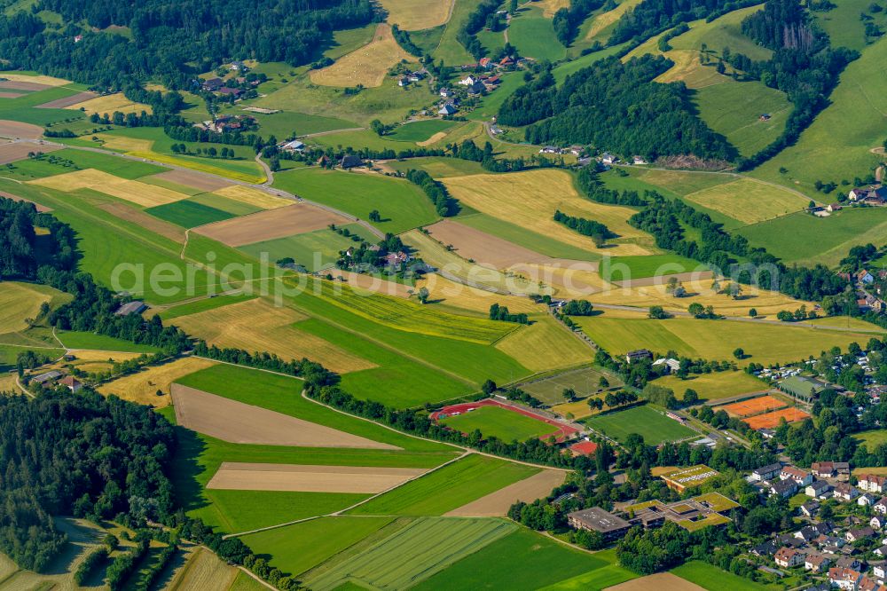 Kirchzarten from the bird's eye view: Gliding field on the airfield of Kirchzarten in Kirchzarten in the state Baden-Wurttemberg, Germany