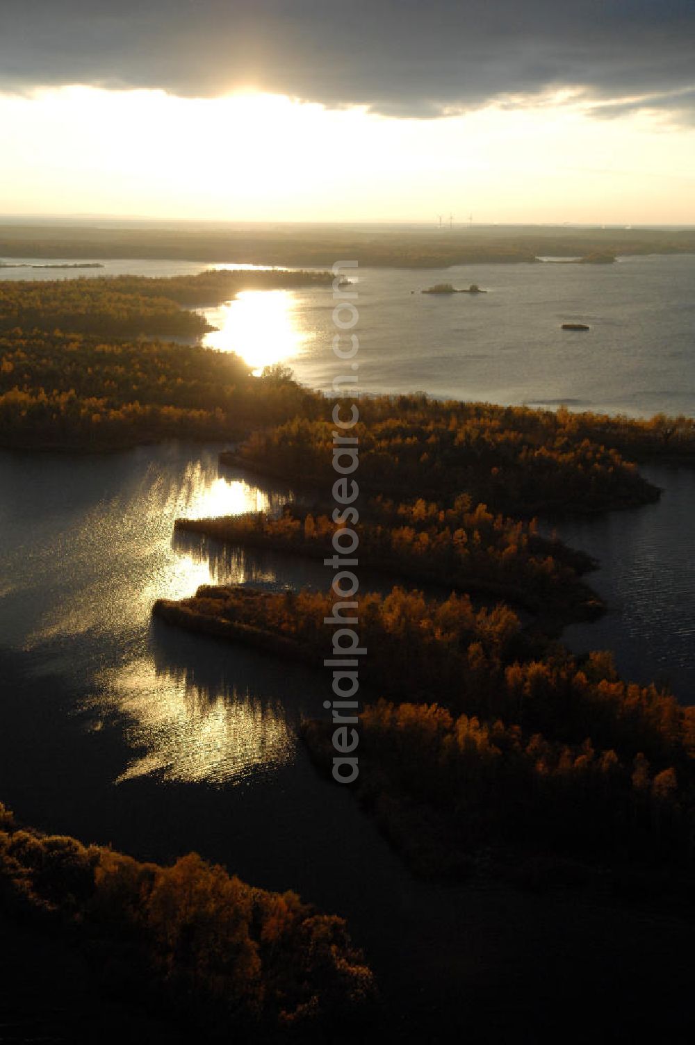 Aerial image Senftenberg - Blick über das 250 ha große Naturschutzgebiet im Senftenberger See bei herbstlichen Sonnenuntergang.