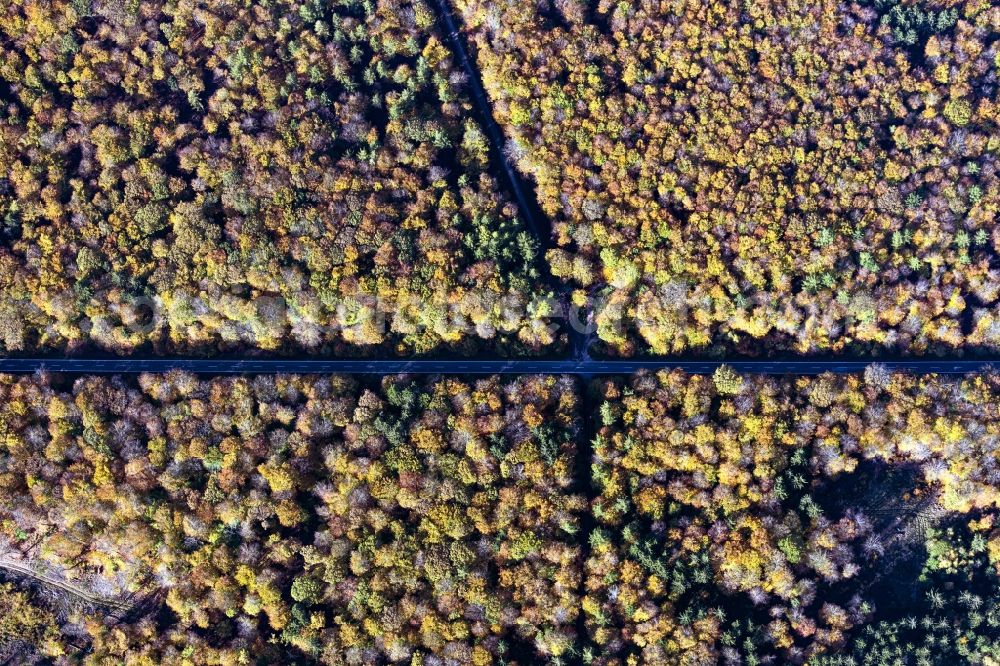 Aerial photograph Bacharach - Autumnal discolored vegetation view street - road guidance in a forest area in Bacharach in the state Rhineland-Palatinate, Germany