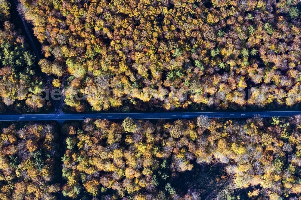 Aerial image Bacharach - Autumnal discolored vegetation view street - road guidance in a forest area in Bacharach in the state Rhineland-Palatinate, Germany