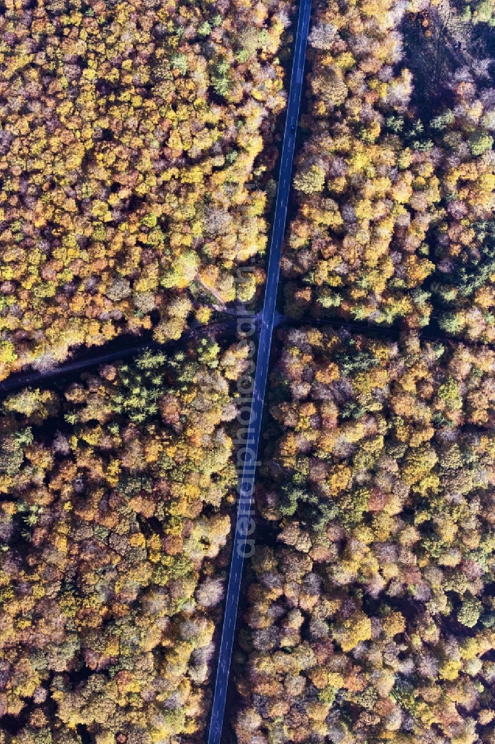 Aerial photograph Bacharach - Autumnal discolored vegetation view street - road guidance in a forest area in Bacharach in the state Rhineland-Palatinate, Germany