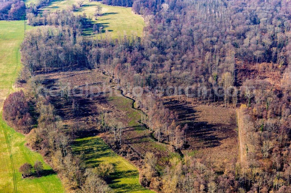 Aerial image Rohrbach - Meandering, serpentine curve of a river Klingbach in pre-spring in Rohrbach in the state Rhineland-Palatinate, Germany
