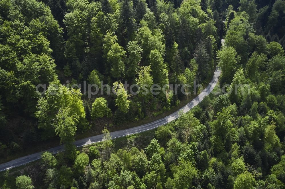 Baden-Baden from the bird's eye view: Serpentine-shaped curve of a road guide in Baden-Baden in the state Baden-Wurttemberg, Germany
