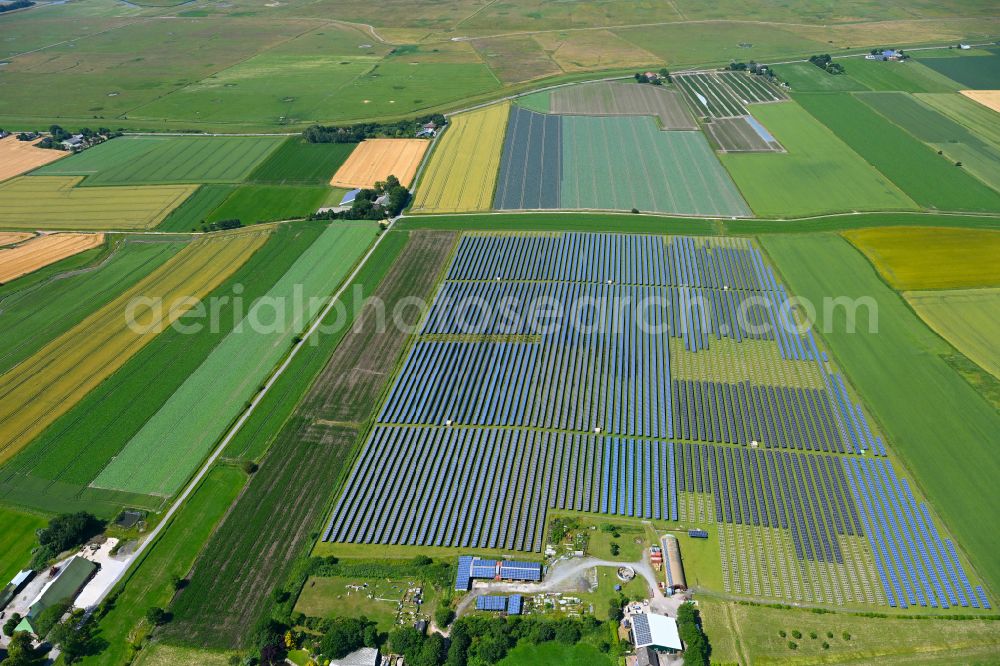Busenwurth from the bird's eye view: Panel rows of a solar power plant and photovoltaic system of the PV Betriebs Waste to Energy A UG & Co. KG in a field on the Alte Landstrasse in Busenwurth in the state Schleswig-Holstein, Germany