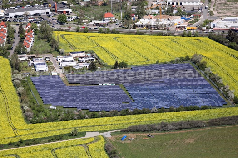 Erfurt from above - Panel rows of photovoltaic and solar farm or solar power plant on a field in the district Bindersleben in Erfurt in the state Thuringia, Germany