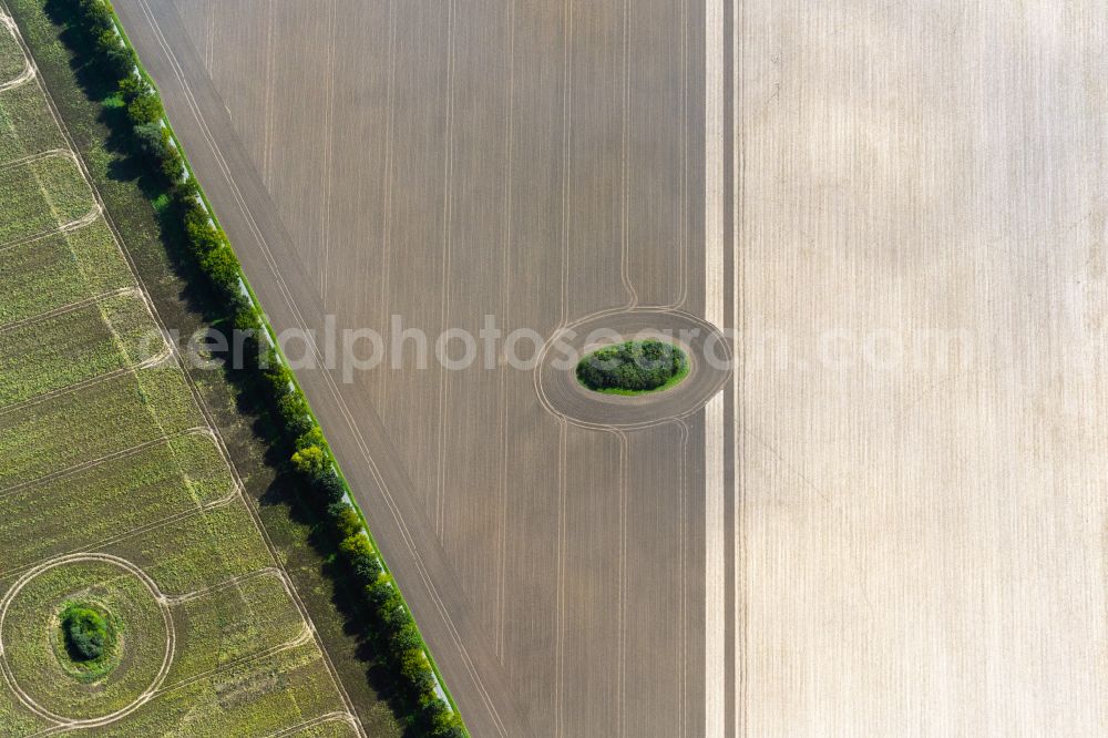 Aerial image Altenpleen - Field edge of a target biotope in the field surface in Altenpleen in the state Mecklenburg - Western Pomerania, Germany