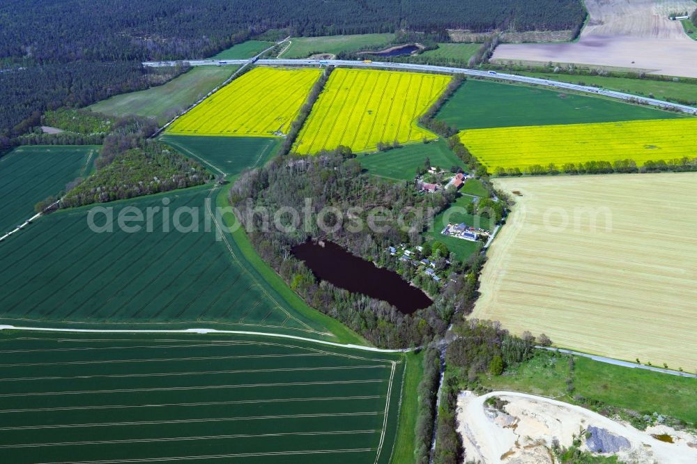 Aerial photograph Arnsdorf - Field edge of a target biotope in the field surface in Arnsdorf in the state Saxony, Germany