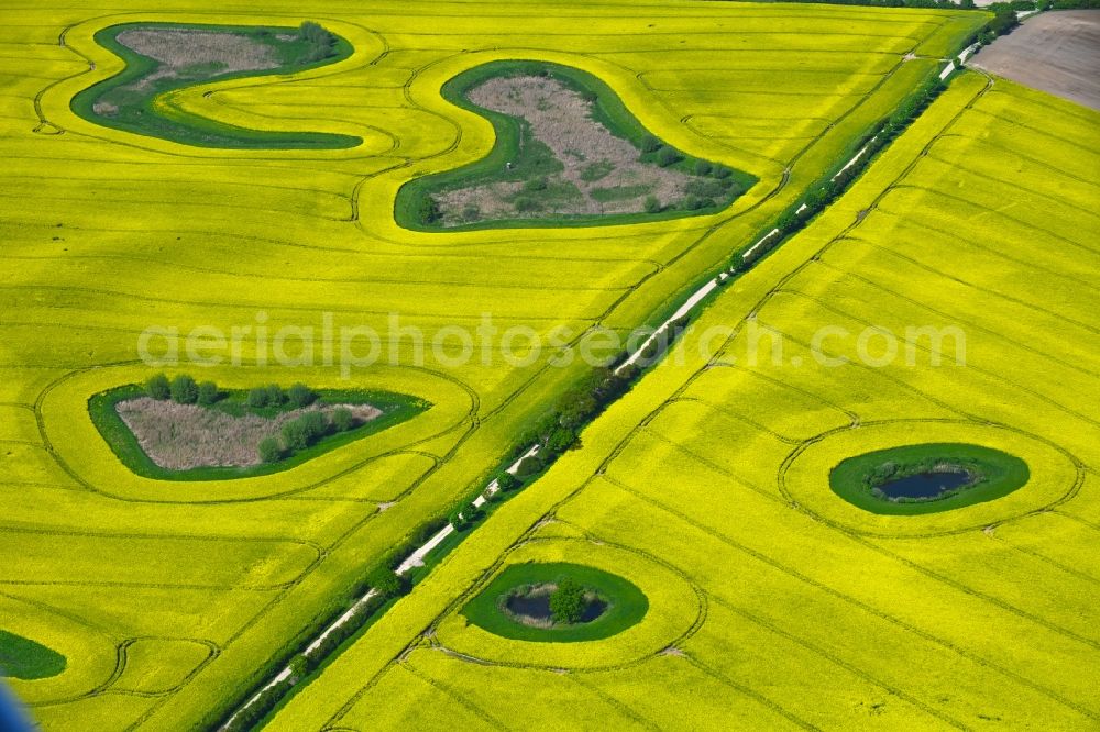 Schwinkendorf from the bird's eye view: Field edge of a target biotope in the field surface with gelben Raps - Anbau in Schwinkendorf in the state Mecklenburg - Western Pomerania, Germany