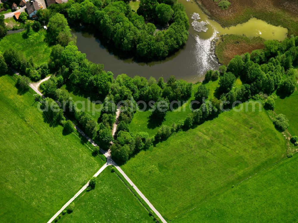 Hochdorf from above - Field edge of a target biotope in the field surface Lindenweiher in Hochdorf in the state Baden-Wuerttemberg, Germany