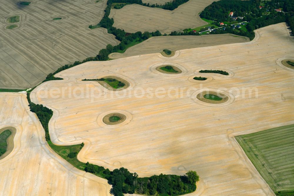 Sarow from the bird's eye view: Field edge of a target biotope in the field surface after harvest in Sarow in the state Mecklenburg - Western Pomerania, Germany